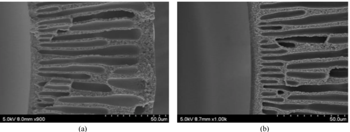 Fig. 3. SEM Photographs of PEI-PDMS hollow fiber composite membrane; (a) non-coated, (b) composite membrane.
