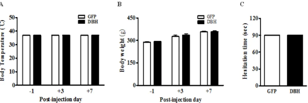 Fig. 3. Effects of adenoviral gene transfer of DBH on body temperature, body weight, and learning and memory ability