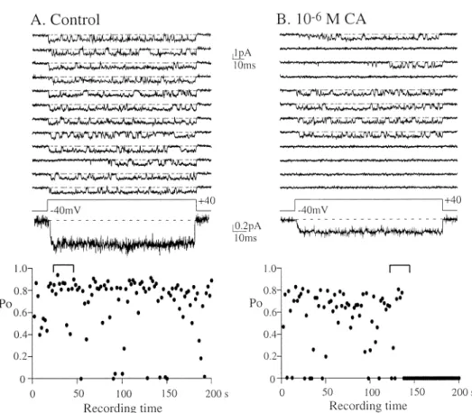 Fig. 1. Example traces for typical  effects of cholic acid (CA) on single  N-type Ca 2＋  channel activity at ＋40  mV