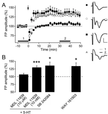 Fig. 3. Effect of 5-HT receptor antagonists and agonists on the  induction of LTP in 8-week-old rats