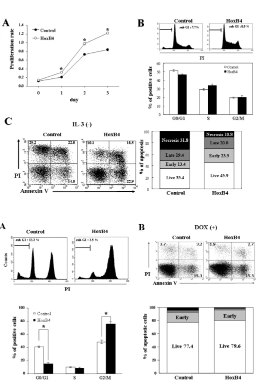 Fig. 3. Biological effects of HoxB4 in  cell cycle arrest at G2/M phase. (A)  HoxB4 in the cell cycle