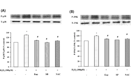 Fig. 5. The effect of eupatilin,  SB202190, SP600125, NAC on p38  MAPK (A) and (B) JNK  phosphory-lation in EECS