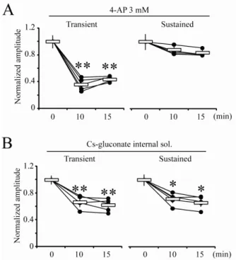 Fig. 3. Blocking effects of cytosolic 4-AP and Cs-gluconate internal  solution on K +  outward currents
