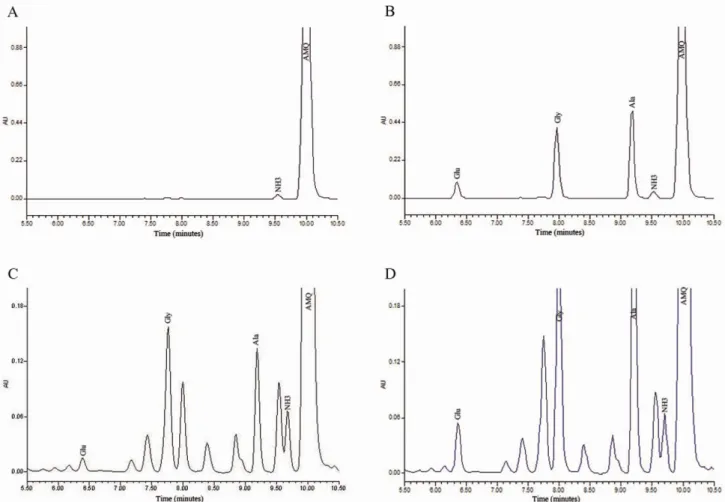 Fig. 1. Typical chromatograms of Glu, Gly, and Ala in plasma. (A) Chromatogram for derivatized blank; (B) chromatography for derivatized  amino acid standard mixture; (C) representative chromatography of blank (unspiked) pooled human plasma sample; (D) chr