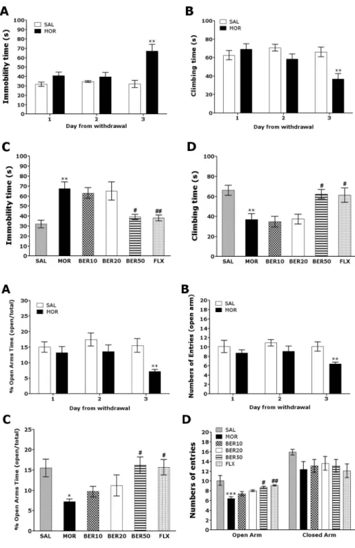 Fig. 3. Changes in anxiety like  behavior in the elevated plus maze  after withdrawal from repeated  saline or morphine administration