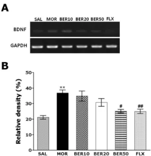 Fig. 4. Representative photomicrographs showing CRF expression  in the paraventricular nucleus (PVN) of the hypothalamus and TH  expression in the locus coeruleus (LC) (A)