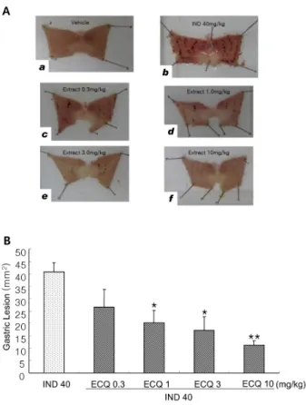 Fig. 1.  Protective  Effect  of  ECQ  on  gastric  lesions  induced  by  indomethacin (IND) in rats