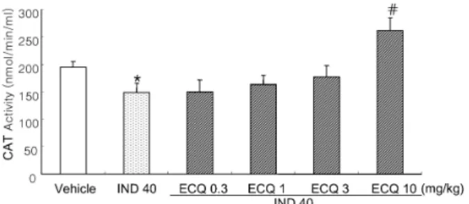 Fig. 4. The expression of SOD-2 in indomethacin (IND) treated  groups with or without ECQ