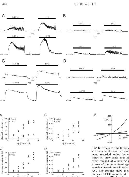 Fig. 4. Effects of TNBS-induced colo- colo-nic inflammation on the carbachol-  induced contractions in the circular  (A, B) and longitudinal (C, D) smooth muscle layer from the proximal colon.