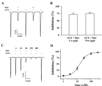 Fig. 3. Current-voltage relationship and voltage-independent  inhibition by quercetin