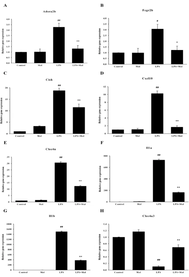 Fig. 4. Validation of microarray results using real-time RT-PCR. Relative expression of each gene in the control was designated as 1, values are mean±S.E.M
