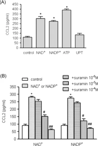 Fig. 1. The effects of extracellular nucleotides on CCL2 gene  transcripts in human VSMCs