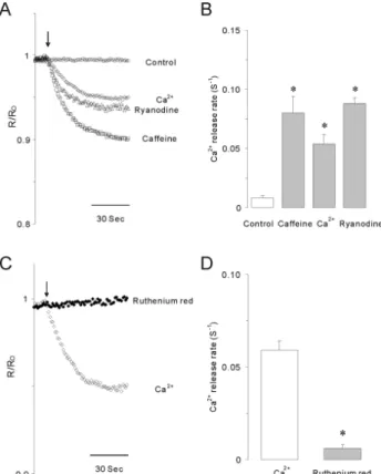 Fig. 4. Caffeine, Ca 2＋  or ryanodine-induced calcium release in  permeabilized INS-1 cells