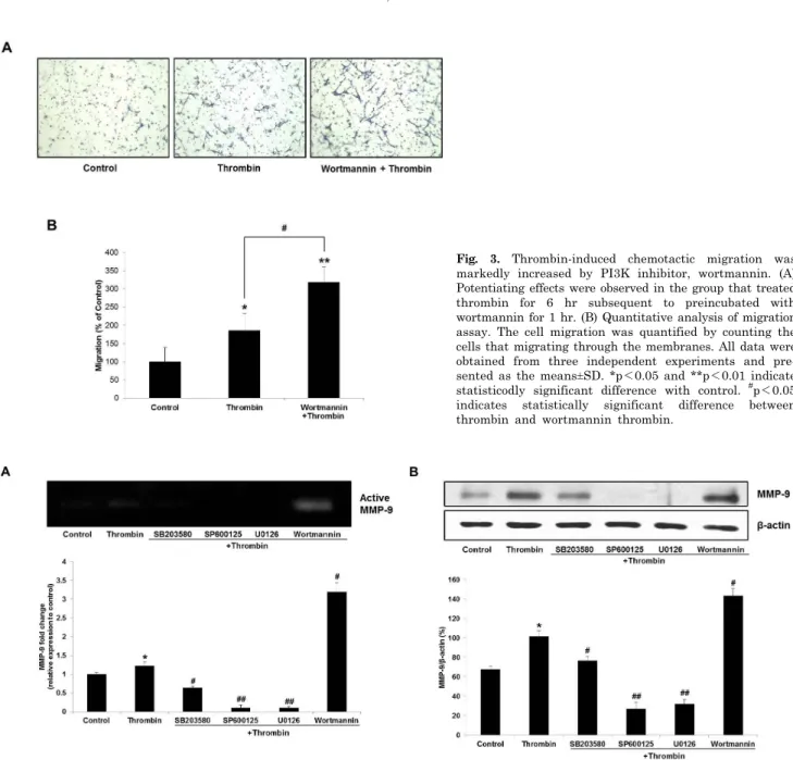 Fig. 3. Thrombin-induced chemotactic migration was  markedly increased by PI3K inhibitor, wortmannin