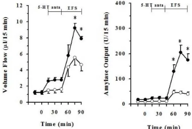 Fig. 1. Effect of serotonin (5-HT, 2μM) on electrical field stimu- stimu-lation (EFS, 12 V, 2 ms, 8 Hz)-induced pancreatic volume flow and  amylase output