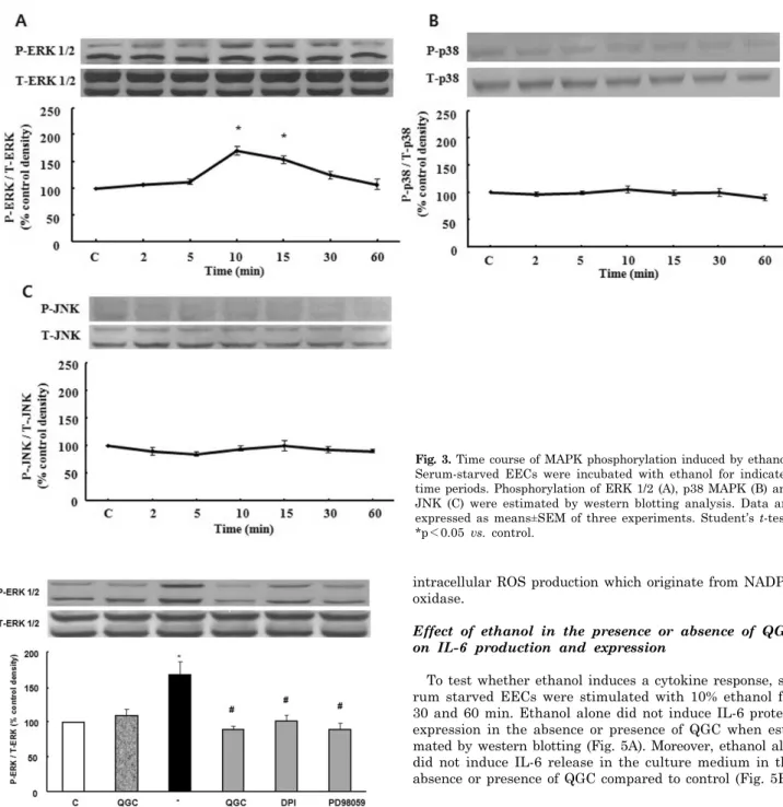 Fig. 3. Time course of MAPK phosphorylation induced by ethanol. 
