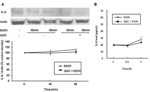 Fig. 5. Effect of ethanol in the  absence or presence of QGC on IL-6  protein expression or release in  EECs