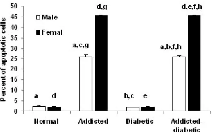 Fig. 2. Comparison of liver cells apoptosis in normal, opium  addicted, diabetic and opium diabetic-addicted rats