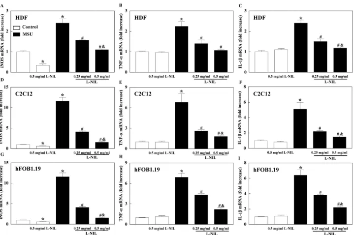 Fig. 5. The mRNA level of iNOS, tumor necrosis factor (TNF)-α, and interleukin (IL)-1β in human dermal fibroblast (HDF; A∼C), C2C12  myoblast, and (D∼F) human fetal osteoblast (hFOB)1.19 (G∼I)