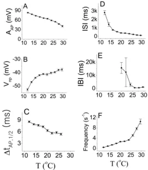 Fig. 1. Average values of six AP parameters with error bars. A AP ,  Δt AP, 1/2 , ISI, and IBI displayed in panels A, C, D, and E,  respec-tively, decreased as temperature increased