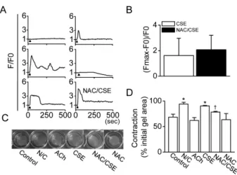 Fig. 4. Effect of CSE on intracellular Ca 2＋  increase and cell  contraction. (A) CSE-induced Ca 2＋  wave patterns in HBSMCs