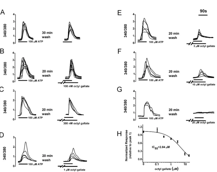 Fig. 1. Concentration-dependent inhibitory effects of octyl gallate on the ATP-induced [Ca 2＋ ] i  increase in PC12 cells