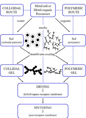 Fig. 4. Diagram of the two sol-gel routes used in inorganic  membrane preparation.