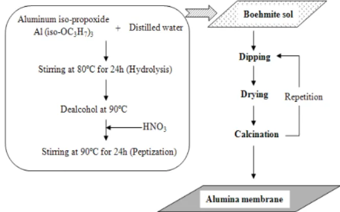 Fig. 7. Procedure for γ-alumina membrane preparation by  sol-gel method.