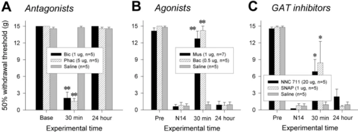 Fig. 2. Changes in pain behaviors by pharmacological regulation of spinal GABAergic activity