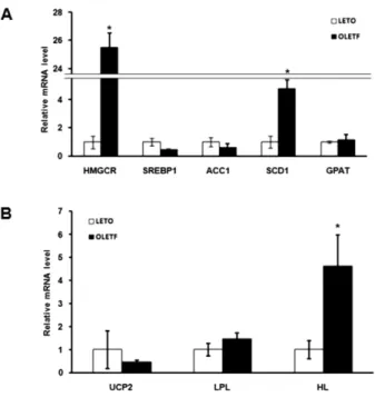 Fig. 3. Analysis of the expression of lipid metabolism related genes  by quantitative real-time PCR