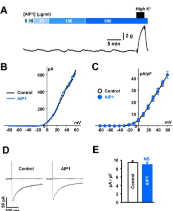Fig. 5. AIP1 did not affect coronary vascular tone or ion channels. 