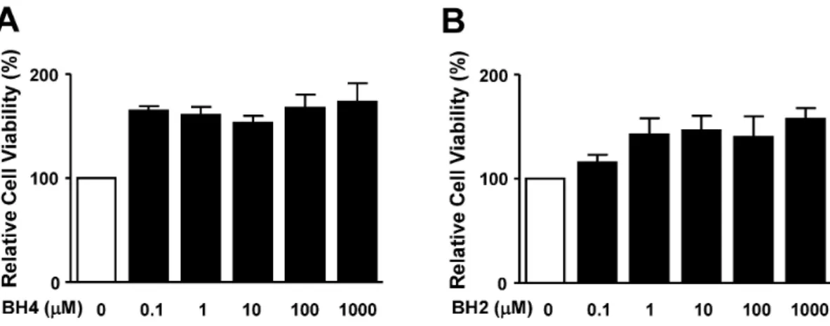 Fig. 5. Effects of BH4 and BH2 on RASMC viability. Cell viability was evaluated by the XTT assay as described in the Methods section