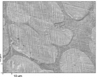 Fig. 3. SEM image of the cross section of Nb 56 Ti 23 Ni 21 alloy membrane before hydrogen permeation test.