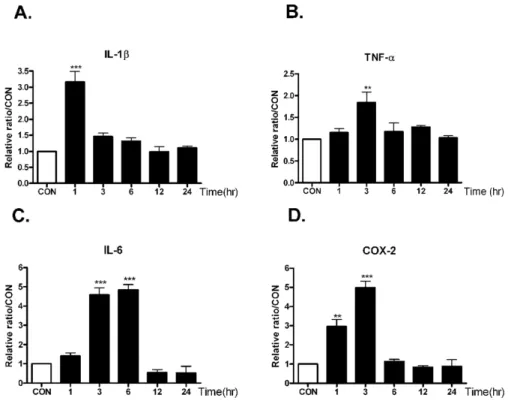 Fig. 2. The time course alteration of  proinflammatory cytokines mRNA  on KA injection in the hippocampus