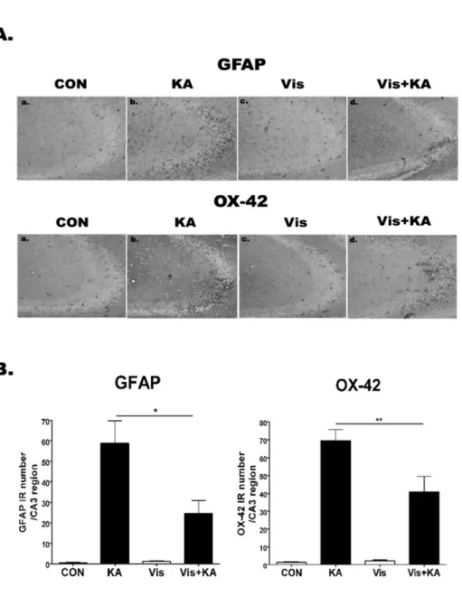 Fig. 4. The effect of visnagin on the  GFAP, OX-42 expression induced by  KA in hippocampal CA3 region