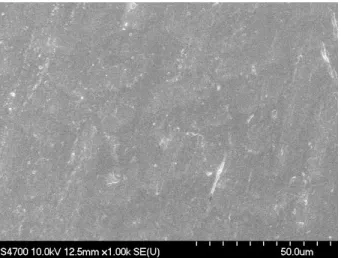 Fig. 9. Surface SEM/EDX image after the hydrogen per- per-meation tests with the water-gas shift reaction mixture  gases