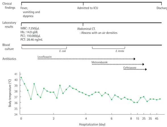 Fig. 1. Schematic diagram of the patient’s clinical course.
