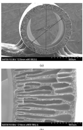 Fig. 4. The hollow fiber membrane sample for dynamic  mechanical analysis test.