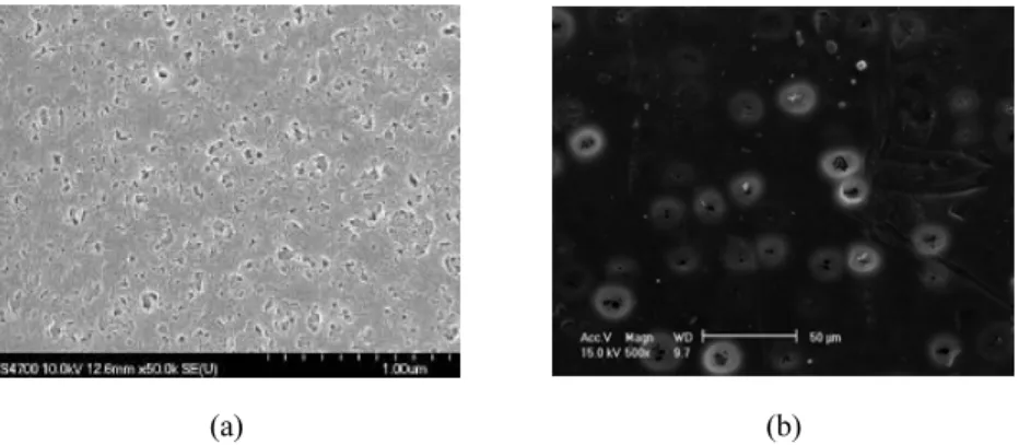 Fig. 6. SEM images of PEI hollow fiber supported membrane; (a) inner surface, (b) outer surface.