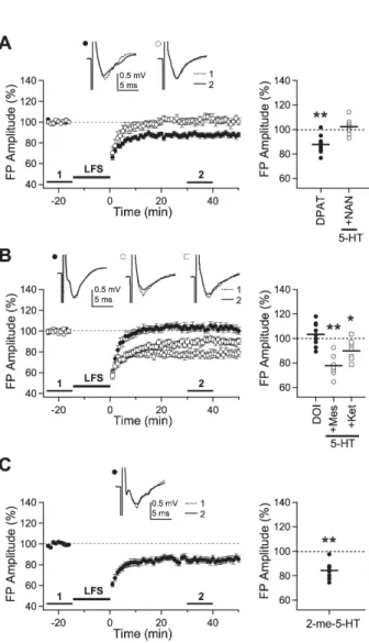 Fig. 2. Effects of 5-HT receptor subtype-specific agonists and  antagonists on the induction of LTD