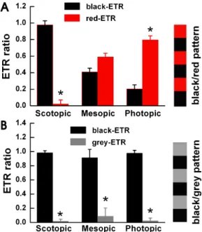 Fig. 3. OMR occurs when an edge is  perceived. We measured the OMR  and ETR responses induced by the  square and sine wave patterns as  shown on (A) under each light  illumi-nation condition (n=8)