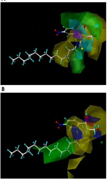 Fig. 3.  3D-contour  maps  of  CoMSIA  models.  (A)  CoMSIA  model  with steric and hydrogen bond donor fields for renal cancer Caki-2  cells