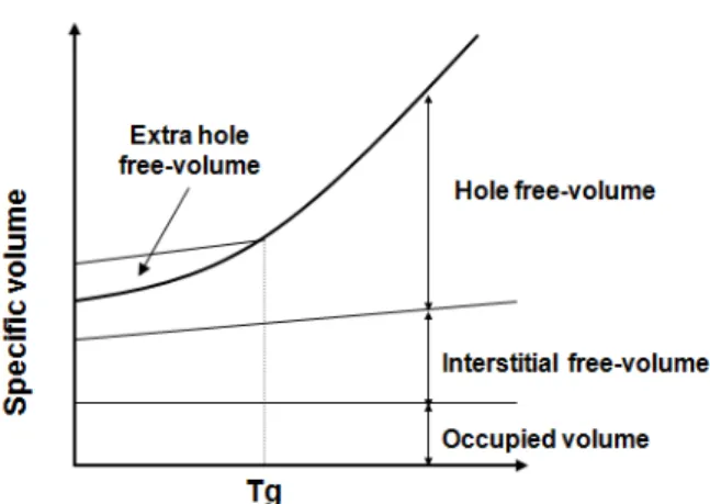 Fig. 4. Free volume as a function of temperature[8]. 상 고분자의 경우 투과도는 높으나 선택도가 낮은 경향 을 나타내며 유리상 고분자는 이와 반대로 투과도는 낮 으나 선택도는 높은 경향을 나타내고 있다[8]