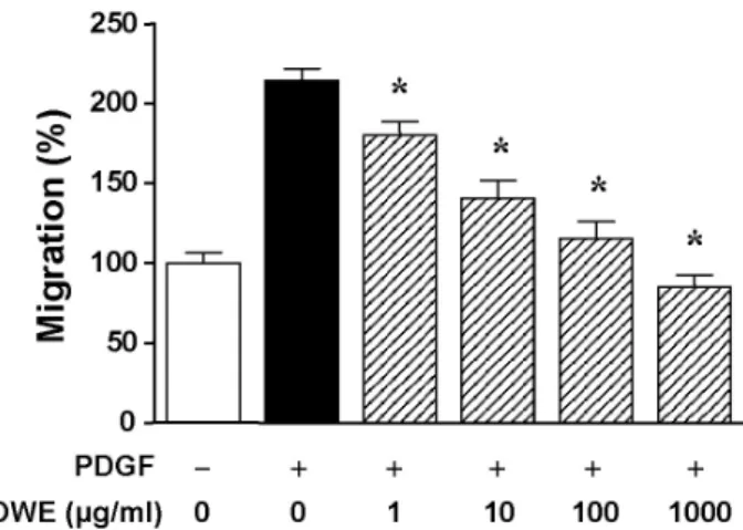 Fig. 1. Effect of olibanum extract on PDGF-BB-stimulated RASMC  migration. The effect of olibanum extract on RASMC migration