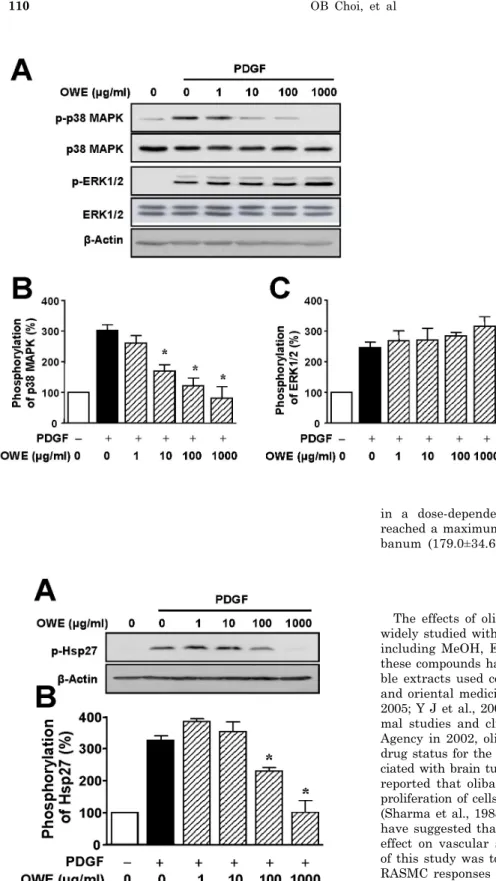 Fig. 3. Effects of olibanum extract on  activity of MAPK in RASMCs. After cells were treated without or with olibanum  extract (1∼1,000 μg/ml) for 30 min, cells were stimulated with PDGF-BB (10  ng/ml) for 10 min