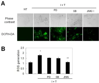 Fig. 5. JNK plays a role in the prevention of cytokine-induced iNOS expression and  proliferation