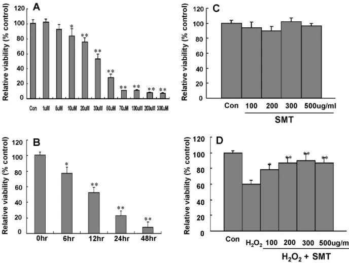 Fig. 1. Effects of H 2 O 2  or SMT on cell viability in SK-N-MC cells. (A) Dose-response relationship of H 2 O 2  on cell viability, (B) time-dependent  relationship of H 2 O 2  (30 μM) on cell viability, (C) dose-response relationship of SMT, (D) effect o