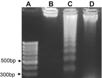 Fig. 5. Flow cytometric analysis sho- sho-wing changes in the mitochondrial  membrane potential of SK-N-MC  cells