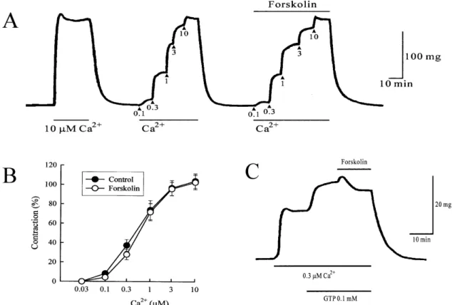 Fig. 5. (A) Effect of 10 μM forskolin on the contraction evoked by Ca 2＋  in α-toxin-permeabilized ileum
