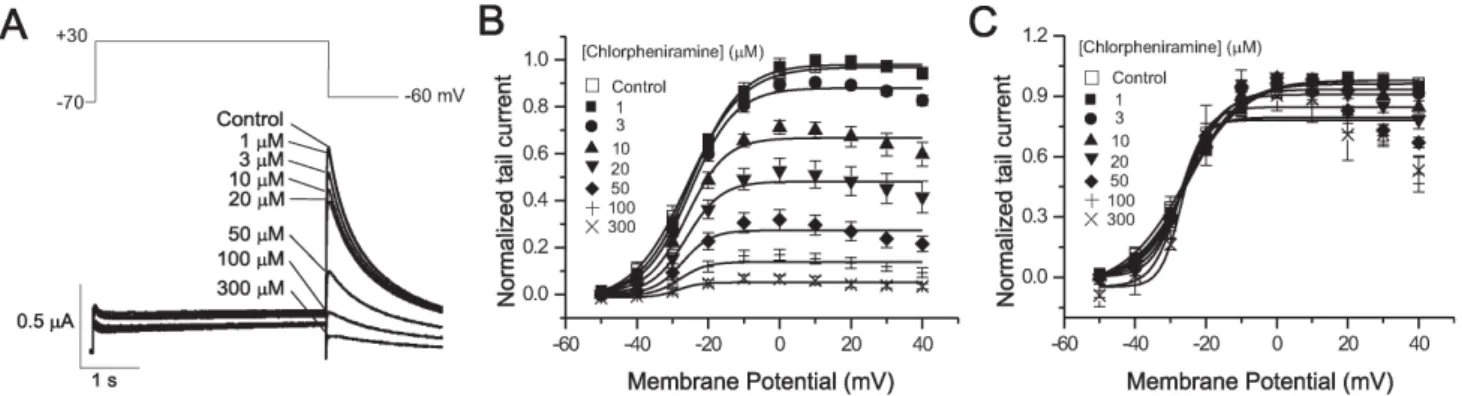 Fig. 1. The effect of chlorpheniramine on human-ether-a-go-go-related gene (hERG) currents (I HERG ) elicited by depolarizing voltage pulses.